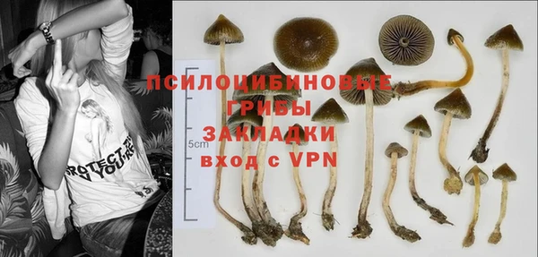 2c-b Нефтегорск