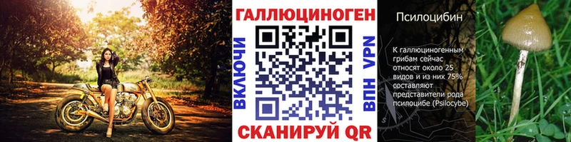 купить   Кувшиново  Галлюциногенные грибы мухоморы 