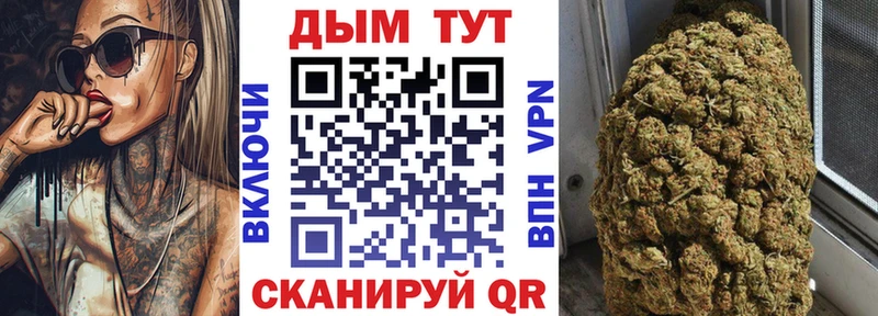 Каннабис планчик Кувшиново